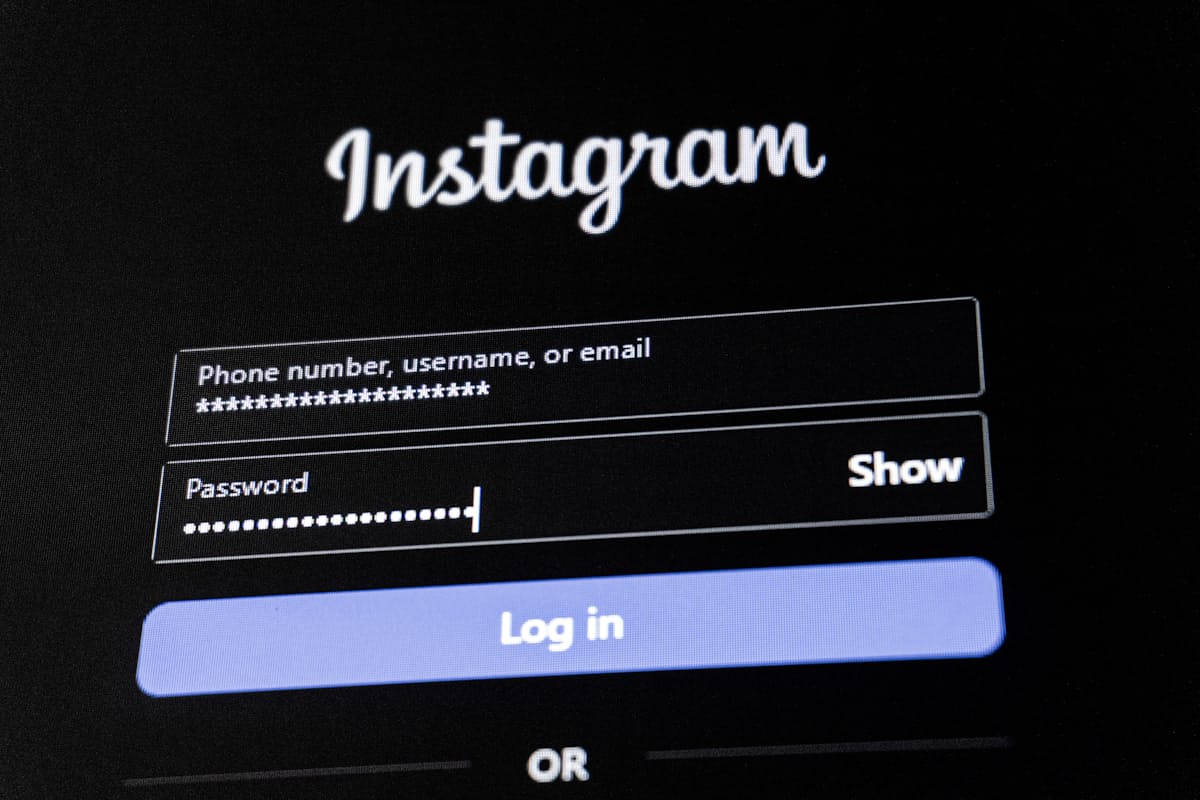 赢多多